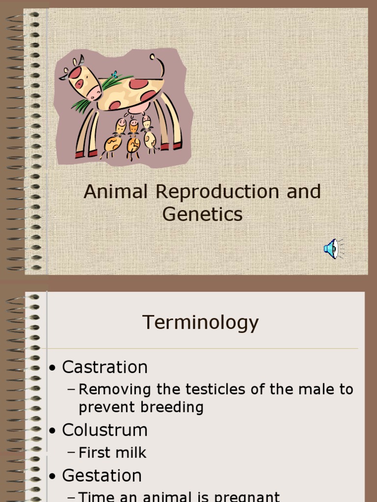 Animal Reproduction and Genetics Overview | PDF | Reproductive System ...