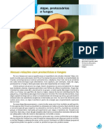 2º ano-Biologia-PDF-módulo III