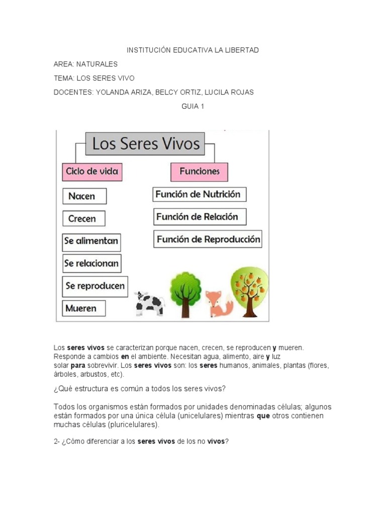 Los Seres Vivos Cuarto | PDF