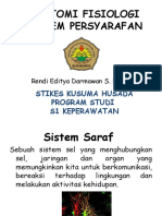 Anatomi Fisiologi Sistem Syaraf