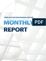 Monthly: Template For Professional Report