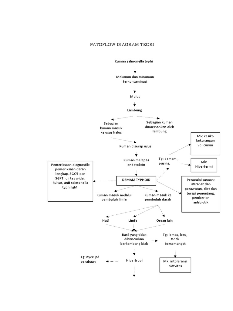 Patoflow Diagram Teori | PDF