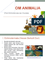 Kingdom Animalia-Echinodermata Dan Chordata