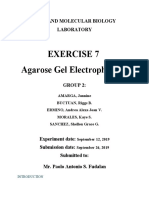 Exercise 7 Agarose Gel Electrophoresis: Cell and Molecular Biology Laboratory