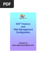 Treasury and Risk MGMT Config Preview