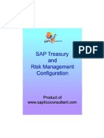 Treasury and Risk MGMT Config Preview