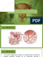 CA Prostata Final