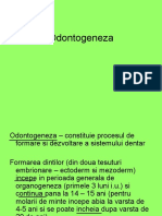 06-Odontogenza