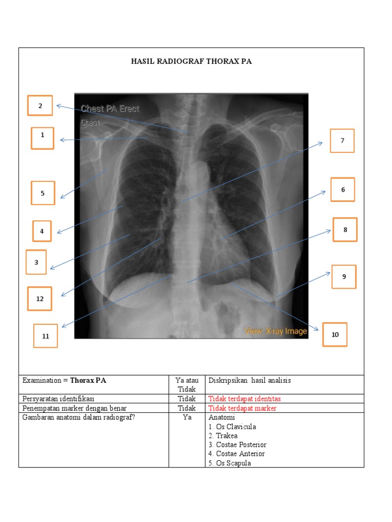 Temari va Shikamaru ishtirokidagi naruto porno komikslari