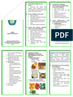 LEAFLET OK-dikonversi