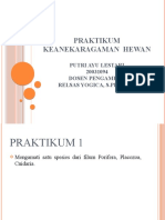 Praktikum Keanekaragaman Hewan