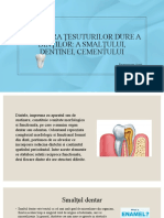 Structura Tesuturilor Dure Dentare