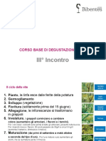 3 Incontro Corso Vino.ppt