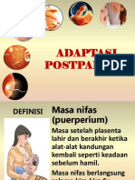 Adaptasi Postpartum