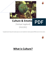 Culture Emotion