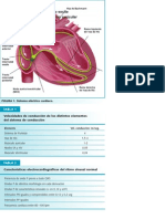 Tablas ECG