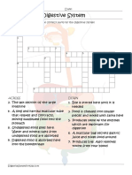 Parts of The Digestive System Crossword Worksheet