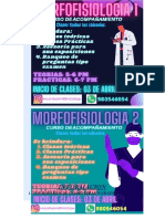 Informacion Morfos