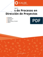 Grupos Procesos Proyectos