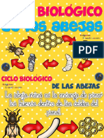 Ciclo Biológico de Las Abejas - PDF Versión 1