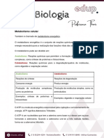 Resumo Metabolismo Celular