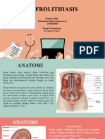 TUTORIAL KLINIK Nefrolitiasis (Sebastiana Regita 1913020028)