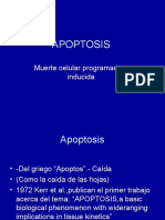 Apoptosis 004