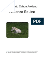 Influenza Equina