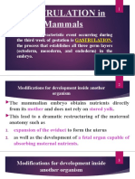Gastrulation in Mammals