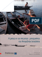 A Pesca e Recursos Pesqueiros Da Amazônia - Ruffino - 2004