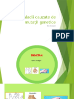 Biologie Genetica