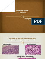 Clasificacion de Tejido Cartilaginoso