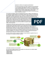 Cómo Se Organizan Las Células en Los Organismos Pluricelulares