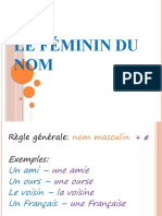 Le Feminin Du Nom