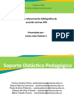 Caro Presentación Plagio y APA Ed. 6