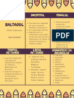 Baltagul Poster Concepte 1