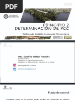 rbol-de-decisi-n-coca-cola-pdf
