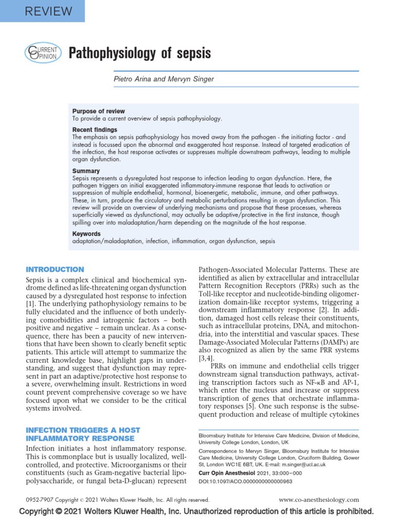Pathophysiology of Sepsis | PDF | Inflammation | Macrophage
