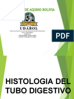 HistologiaAp._Digestivo
