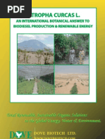 Download 13396124-jatropha-curcas-l by Mahmoud Abo Zied SN50309663 doc pdf