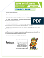 Ciclo Del Agua Para Primero de Secundaria