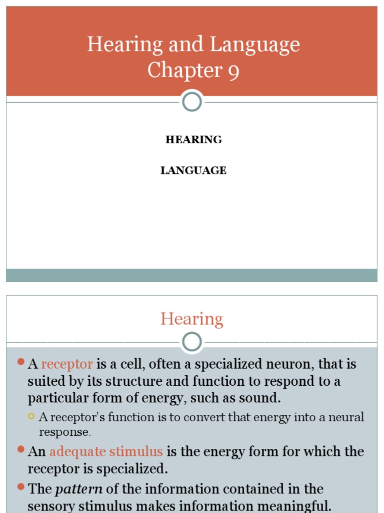 Ch. 9 | PDF | Auditory System | Hearing