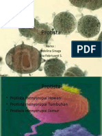 Protista