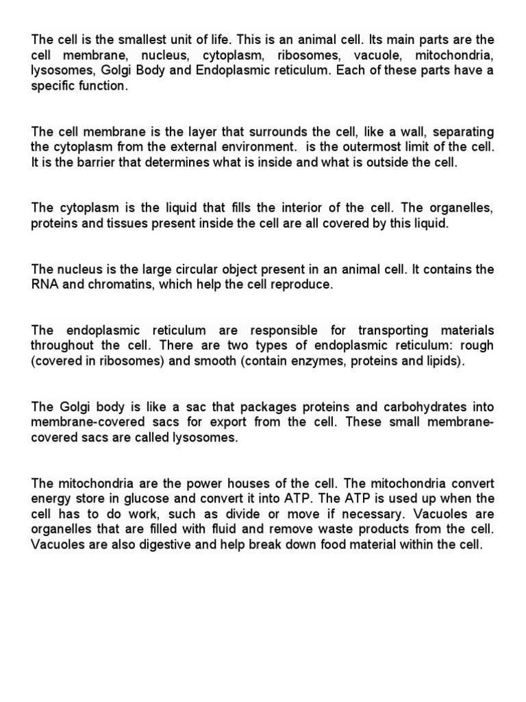 Animal visual data 6