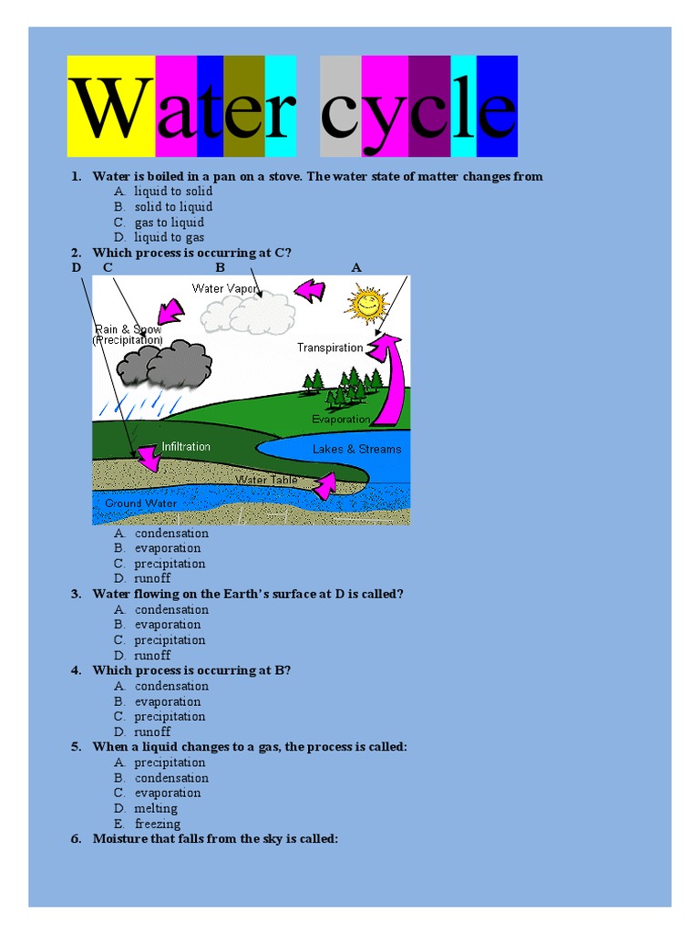 Understanding the Water Cycle Processes | PDF | Science & Mathematics