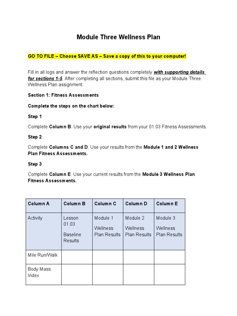 Module Three Wellness Plan Overview | PDF | Physical Fitness ...