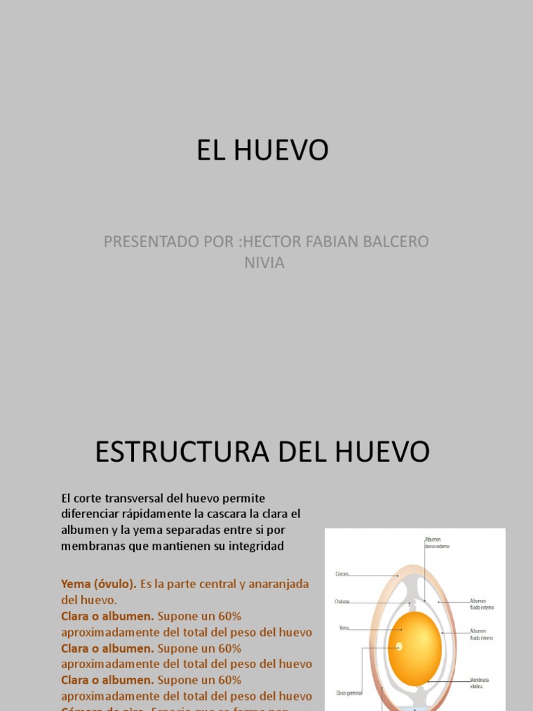 COMO CALCULAR EL AREA DE LA SUPERFICIE DE UN HUEVO CON CALCULO intelligence overview