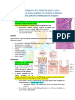 Patología Vías Digestivas Altas II (HAYDEE)