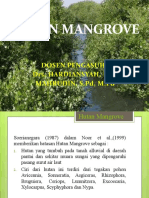 MANGROVE