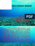 Ekosistem Padang Lamun